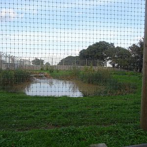 Tiger Exhibit at Yorkshire Wildlife Park