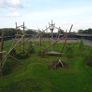 Elevated View of Leopard Exhibit at Yorkshire Wildlife Park
