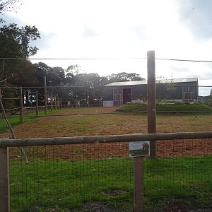 Ground View of the Giraffe Exhibit at Yorkshire Wildlife Park