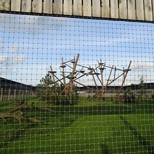 Ground View of Leopard Exhibit