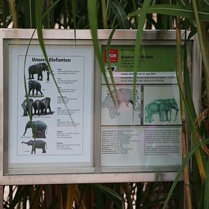 elephant park: "Hediger Tafel" for asian elephant