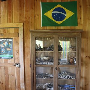 pantanal: educational display