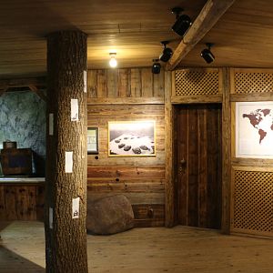 galapagos tortoise indoors