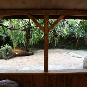 galapagos tortoise indoors