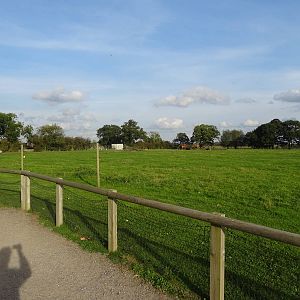 Bactrian Camel Exhibit at Yorkshire Wildlife Park
