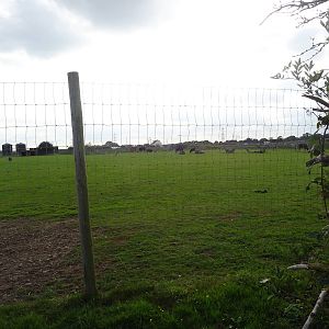 African Plains at Yorkshire Wildlife Park