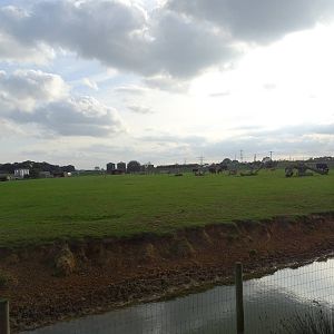 African Plains at Yorkshire Wildlife Park