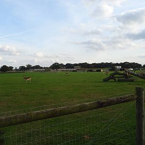 General View of African Plains at Yorkshire Wildlife Park
