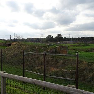 Lion Exhibit at Yorkshire Wildlife Park