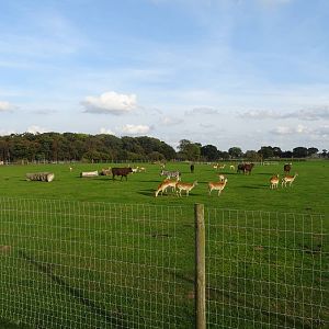 General View of African Plains at Yorkshire Wildlife Park