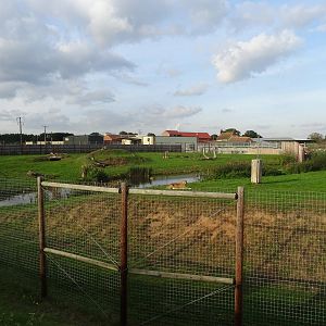 Lion Exhibit at Yorkshire Wildlife Park