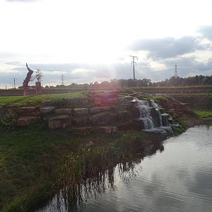 Lion Exhibit at Yorkshire Wildlife Park