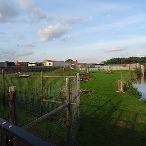 Lion Exhibit at Yorkshire Wildlife Park