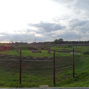Lion Exhibit at Yorkshire Wildlife Park