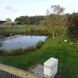 Flamingo Exhibit at Yorkshire Wildlife Park