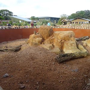 Meerkat/Mongoose Exhibit at Yorkshire Wildlife Park