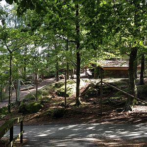 Tajik markhor exhibit