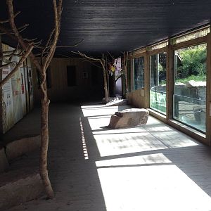 Siberian tiger exhibit - Vistor tunnel