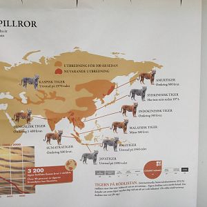 Tigers of the world sign.