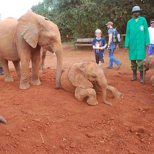 Dust Bath and Public Interaction