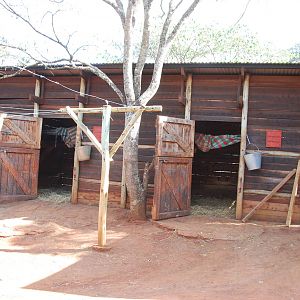Elephant Night Stalls - David Sheldrick Wildlife Trust Elephant Orphanage