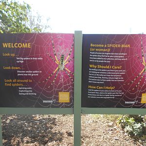 LA County Natural History Museum Spider Pavilion