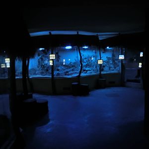 general view in the nocturnal house - Zoo Plzen