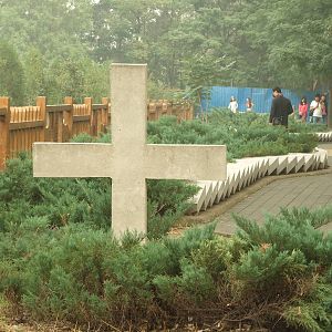 Extinct animal Domino