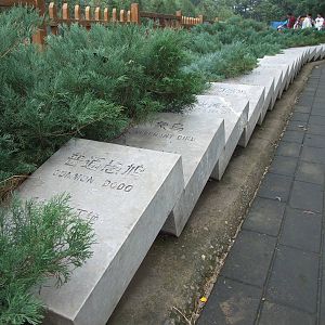 Extinct animal Domino