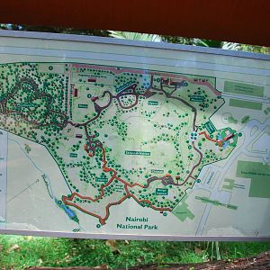 Safari Walk Map