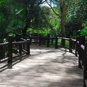 The Boardwalk - Nairobi Safari Walk