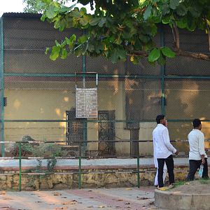 Small mammals exhibits