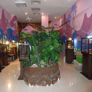 Reptile room interior