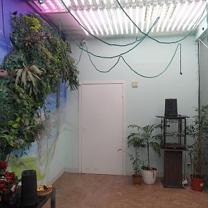 Butterfly room interior