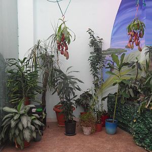 Butterfly room interior 2