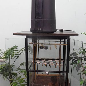 Butterfly incubator