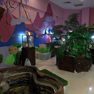 Reptile room interior 3