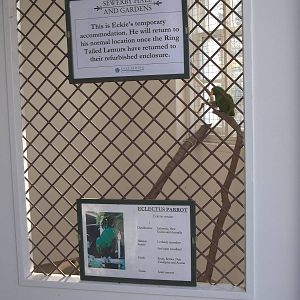 Temporary home for Eckie, 10th October 2014