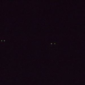 A late night at the zoo, 10th October 2014