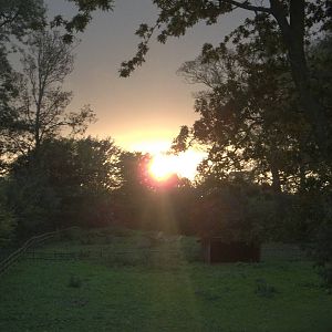 That time of year again, 11th October 2014