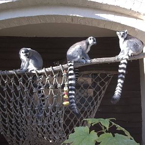 Enjoying the sunshine, 12th October 2014