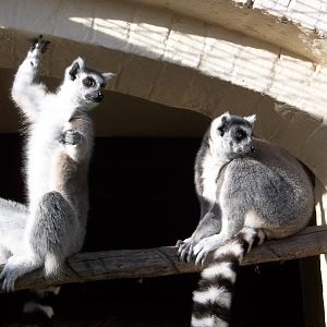 Enjoying the sunshine, 12th October 2014