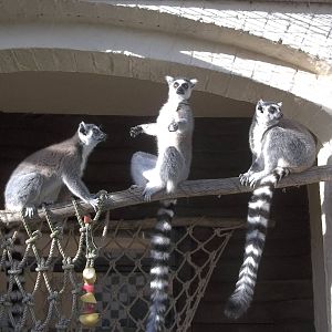 Enjoying the sunshine, 12th October 2014