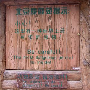 Guess what is inside