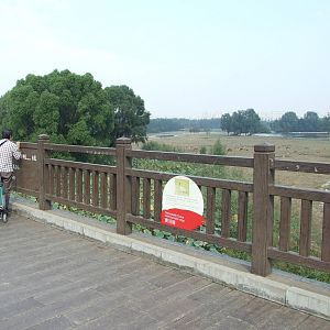 Nanhaizi Milu Park