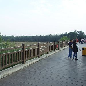 Nanhaizi Milu Park