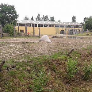 Asiatic elephant enclosure