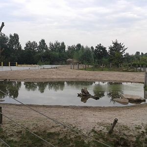 Asiatic elephant enclosure