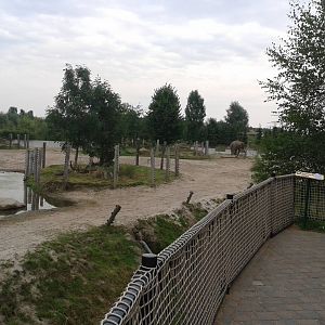 Asiatic elephant enclosure