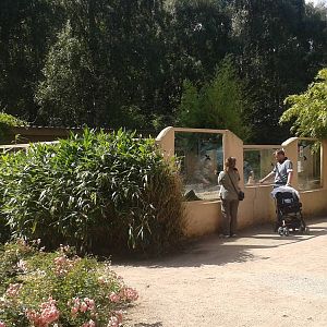 Prairie dog enclosure